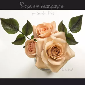 Imagem de Curso de Modelagem da Rosa - Sandra Dias criado por Sandra Dias - Cake Designer na hotmart