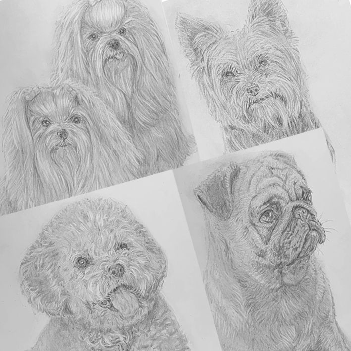 Imagem do curso Como desenhar cachorros