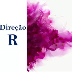 Imagem do curso Direção R