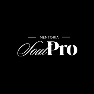 Imagem de capa para o Curso online Programa de Mentoria SoulPro