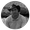 IBAC. CARLOS LEÓN RAMOS