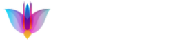 The Digital Preacher