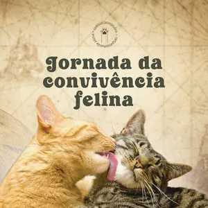 Imagem de capa para o Curso online Jornada da Convivência Felina
