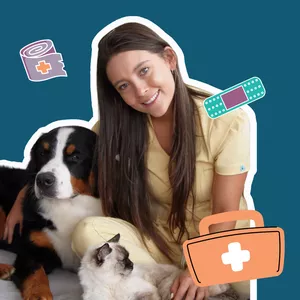 Imagen de portada para Curso online Primeros Auxilios para Perros y Gatos