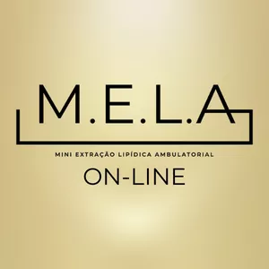 Imagem de capa para o Curso online MELA - Online