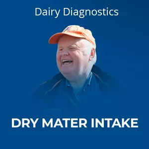 Cover image for Online course Dairy Diagnostics - Low Dry Matter Intake with Dr. Mike Hutjens