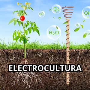Imagen de portada para Curso online Electrocultura: Cómo Potenciar el Crecimiento de tus Plantas con Electricidad
