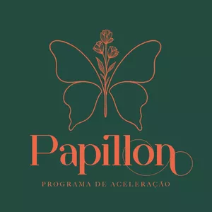 Imagem de capa para o Curso online Aceleradora Papillon 