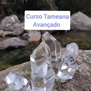Imagem de capa para o Curso online Curso Tameana nível avançado