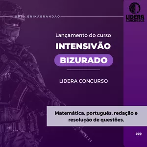 Imagem de capa para o Curso online INTENSIVÃO BIZURADO