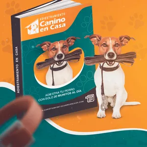 Imagen de portada para Ebook Adiestramento canino en casa