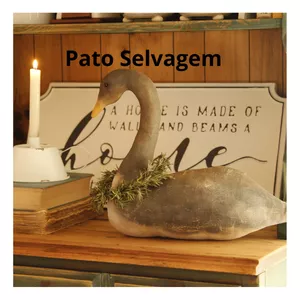 Imagem de capa para o Curso online Pato Selvagem