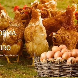 Imagem de capa para o Curso online Sistema Rastrear Ovos