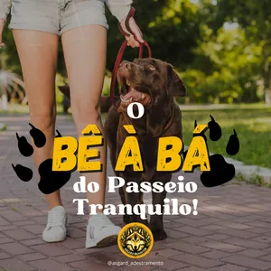 Imagem de capa para o Curso online O Bê à Ba do Passeio Tranquilo!