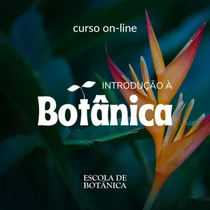 Imagem de capa para o Curso online Introdução à Botânica