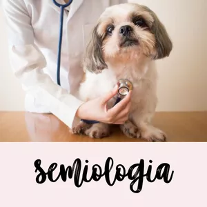 Imagem de capa para o Ebook Semiologia - Primeira parte 