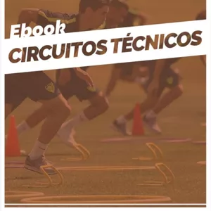 Imagen de portada para Ebook Libro – Circuitos técnicos