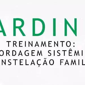 Imagem de capa para o Curso online CARDINIA - Treinamento: Abordagem Sistêmica e Constelação Familiar