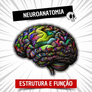 Imagem de capa para o Curso online Neuroanatomia - Estrutura e função