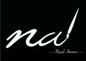 Nepal Ammer's School logo
