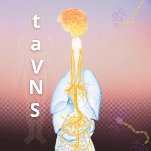 Imagem de capa para o Curso online Estimulação Elétrica Transcutânea do Nervo Vago Auricular (taVNS)