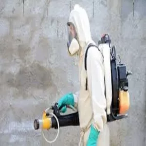 Imagem do curso Agente de Combate a Endemias