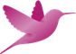 Wordpress Happiness Academy