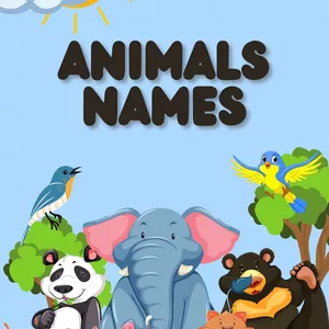 Cover image for Ebook Colourful Modern Animals Name Book 