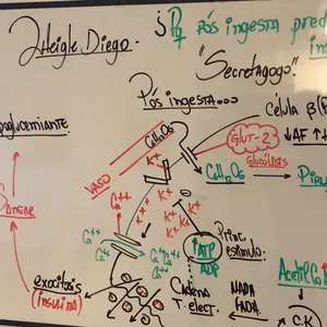Imagem do curso REPASSO BIOQUIMICA-1(UAI)
