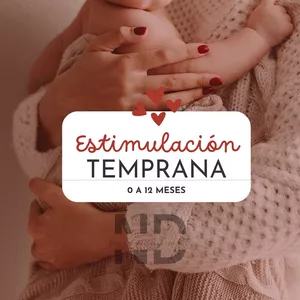 Imagen de portada para Ebook Estimulación Temprana