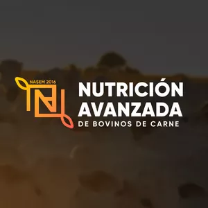 Imagen de portada para Curso online Nutrición Avanzada de Bovinos de Carne – NASEM 2016
