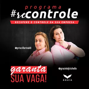 Imagem de capa para o Curso online Recontrole Empresarial das Águias 