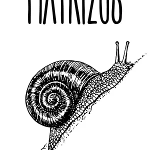 Imagem de capa para o Ebook Matrizes: Èsù e Òṣàlá