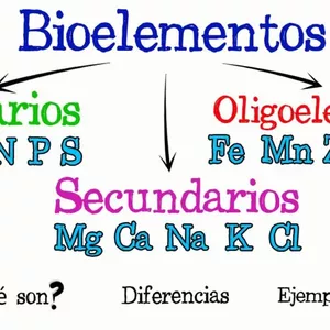 Imagen de portada para Ebook La estructura química de los seres vivos Biomoléculas y bioelementos