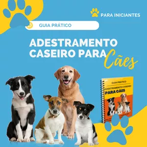 Imagem do curso Guia Prático Adestramento Caseiro Para Cães