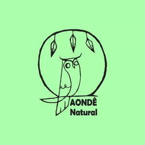 Imagem de capa para o Curso online Workshop Tratamentos Naturais e Holísticos para Sintomas da Menopausa