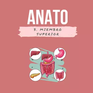 Imagen de portada para Ebook z3. Miembro Superior