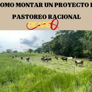 Imagen de portada para Curso online COMO MONTAR UN PROYECTO DE PASTOREO RACIONAL