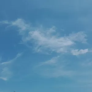 Imagem de capa para o Curso online Paizagem 