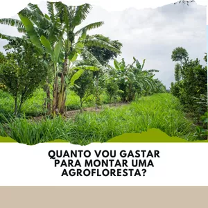 Imagem de capa para o Ebook Quanto vou gastar para montar uma agrofloresta?