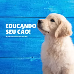 Imagem principal do produto Educando seu cão
