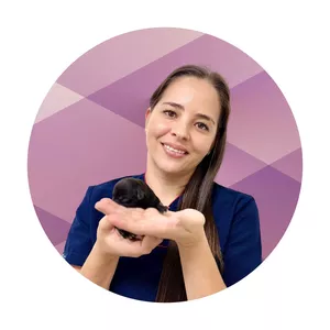 Imagen de portada para Curso online Fisiologia Neonatal