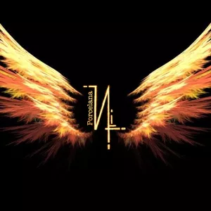 Imagem de capa para o Curso online Curso 1 - Pintura em Porcelana - A Arte do Fogo