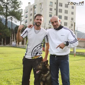 Imagem de capa para o Curso online SUPER CÃO