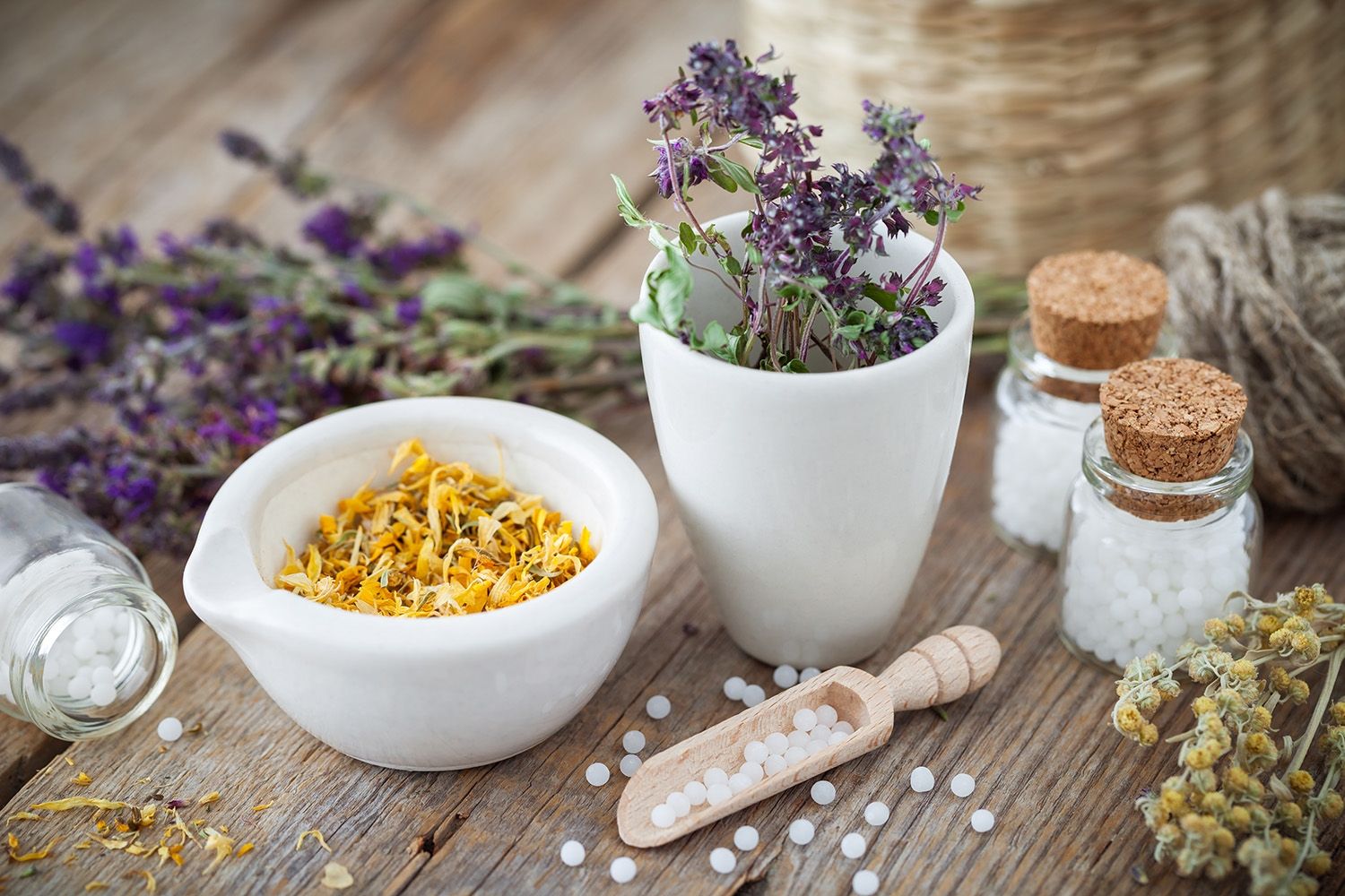 Imagem de Doenças e Protocolos Homeopáticos (Inclui protocolo Banerji) criado por Instituto Flavia Barits- Homeopatia e Terapias Naturais na hotmart
