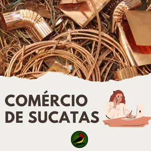 Imagem de capa para o Curso online COMÉRCIO DE SUCATAS