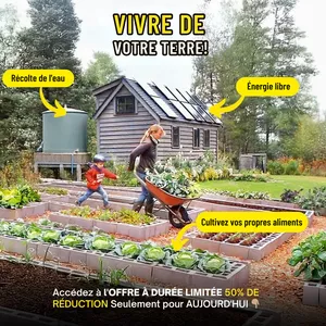 Image de couverture pour le Cours en ligne Bible de lelevage de poulets