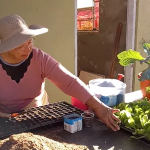 Imagem de capa para o Curso online Maternidade de Horta da Tika