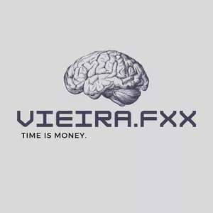 Imagem de capa para o Curso online Mentoria Vieira.fxx