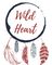 Wildheart Aerial School